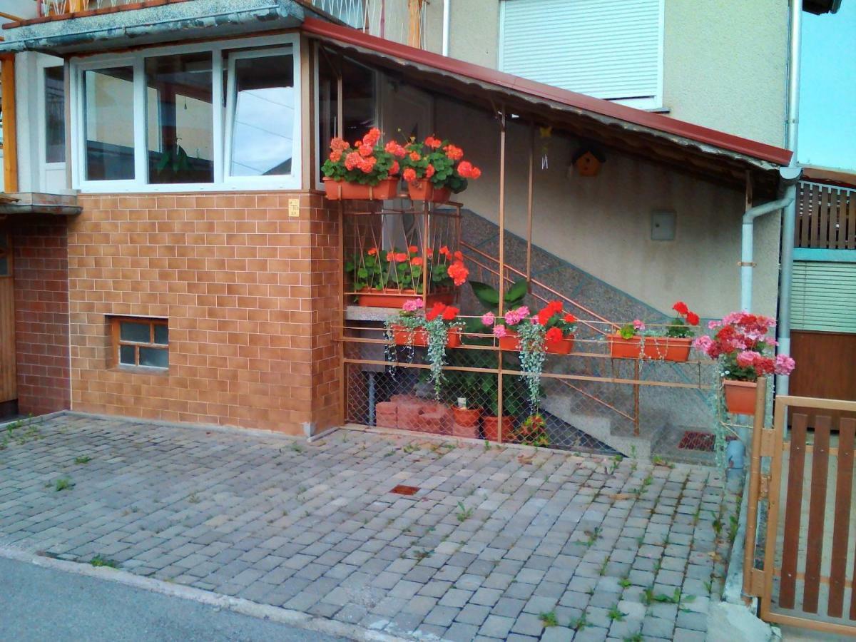 Apartment Janja Vojnik Dış mekan fotoğraf