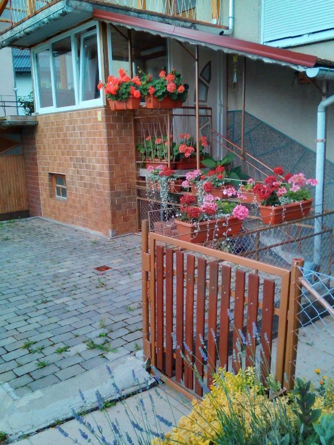 Apartment Janja Vojnik Dış mekan fotoğraf