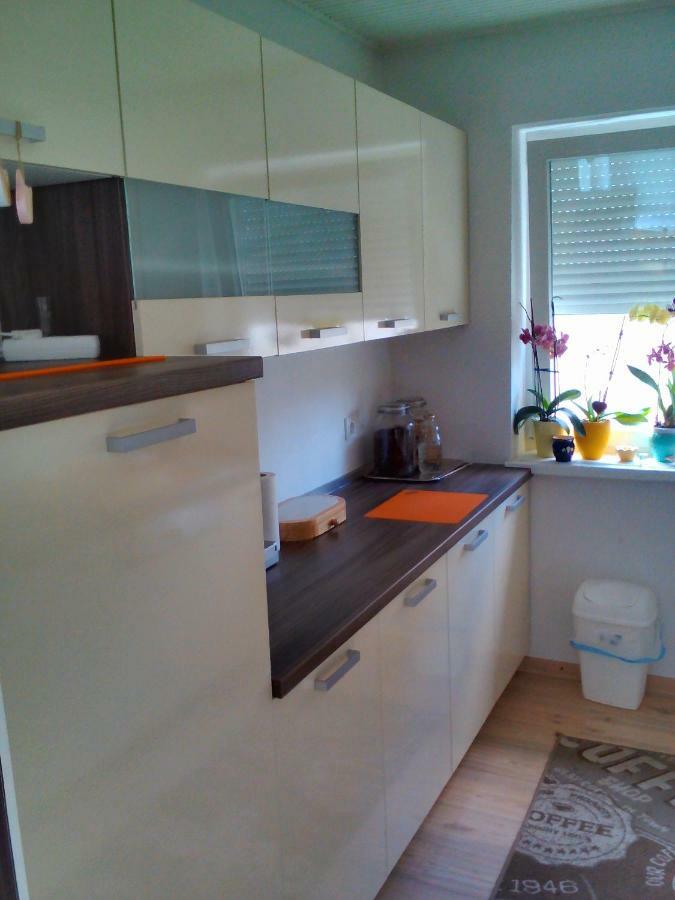 Apartment Janja Vojnik Dış mekan fotoğraf