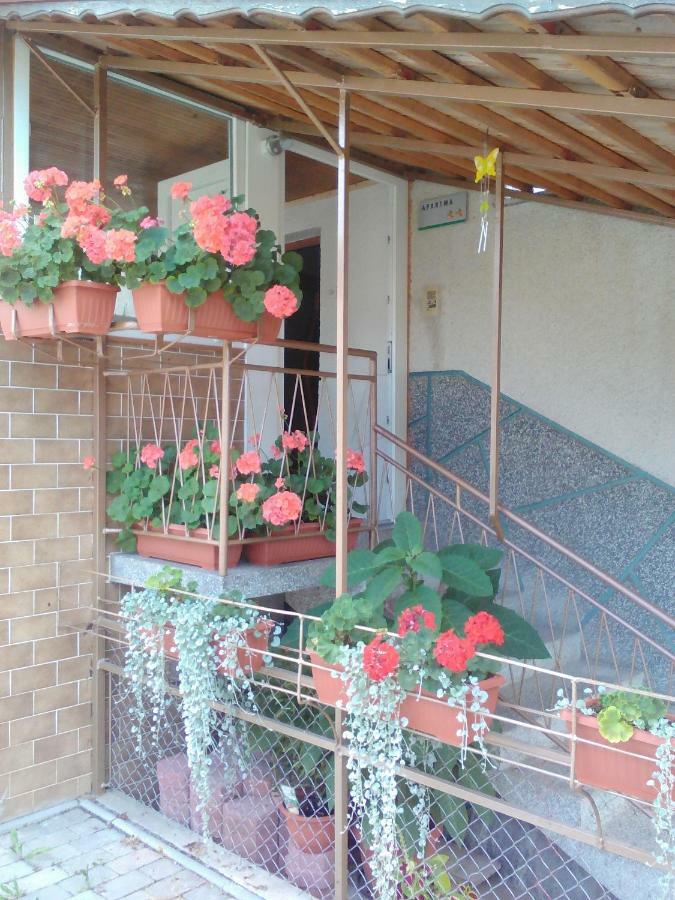 Apartment Janja Vojnik Dış mekan fotoğraf