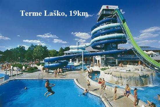 Apartment Janja Vojnik Dış mekan fotoğraf