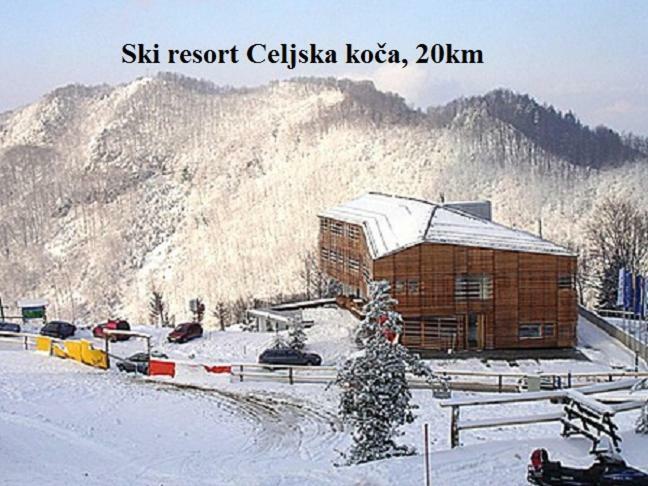 Apartment Janja Vojnik Dış mekan fotoğraf