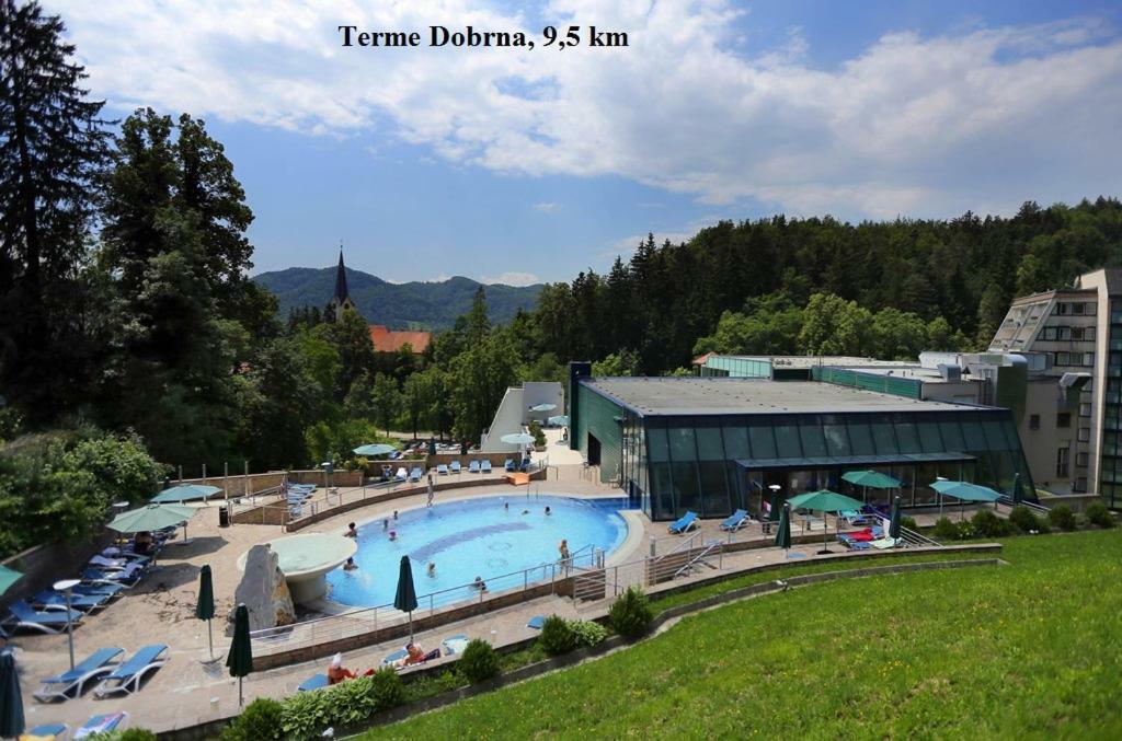 Apartment Janja Vojnik Dış mekan fotoğraf